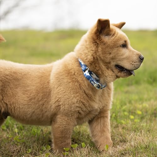 Hyhug Hundehalsband für Welpen und kleine Hunde – Verstellbares Nylon-Halsband mit Weichem Komfort & Strapazierfähigkeit (XXS, Wolkenhund)