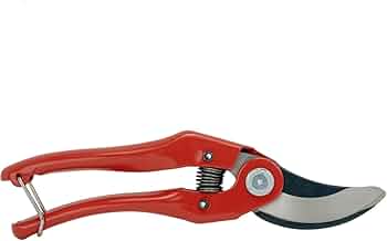 51vqIaWjzgL._AC_UF350,