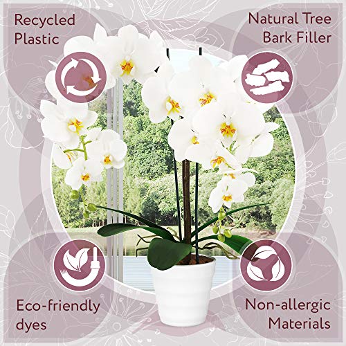 image for EVER BLOOMING Artificial Orchid Flowers Fake Potted Plants - Indoor Fa