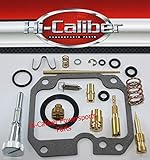 Hi-Caliber Powersports Parts Carburetor Carb Rebuild Kit compatible with the 1992-2000 Yamaha YFB 250 Timberwolf ATVs