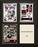 C&I Collectables NCAA Florida State Seminoles Men's Jameis Winston Three Card Plaque, Brown, 8'X10'