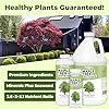 Maple Tree Fertilizer – Liquid Plant Food for Vibrant Color, Stronger Roots & Healthy Growth, 8 oz