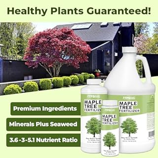 Maple Tree Fertilizer – Liquid Plant Food for Vibrant Color, Stronger Roots & Healthy Growth, 8 oz