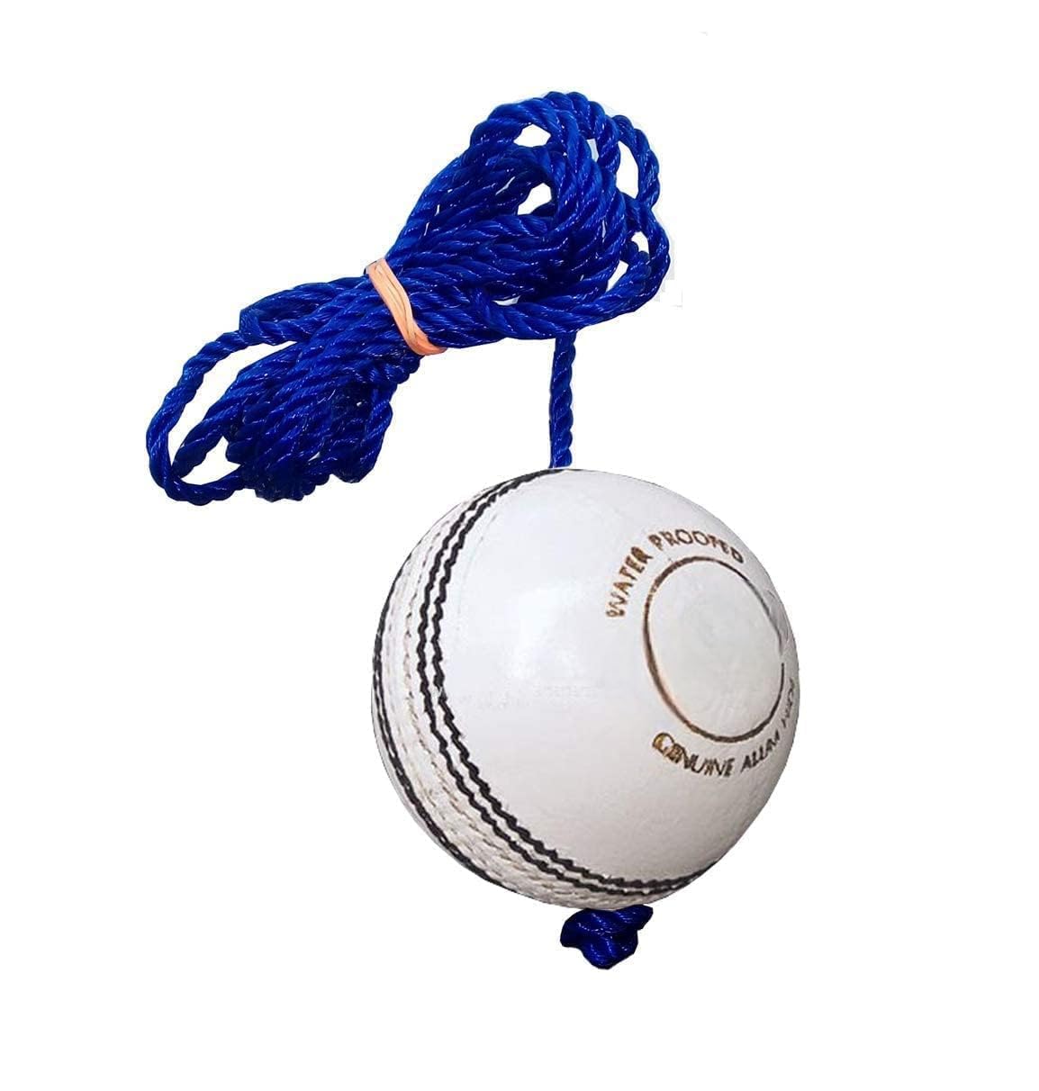 PlayZdict Cricket Leather Hanging Ball.Knocking Ball for Practice (White) 7 ft, Standard Size-picture-30