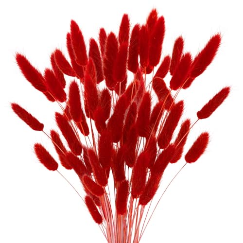 Pampas Grass Large Bunny Tails Flores Secas 80PCS miniatura 1