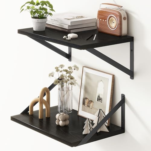 Fun Memories 10 Inch Deep Floating Shelves, Black Floating Shelf 16 Inch Long, 16″ W x 10″ D Wall Shelves Set of 2, Deep Shelves for Books, Wide Floating Shelves for Bahtoom, Living Room, Kitchen