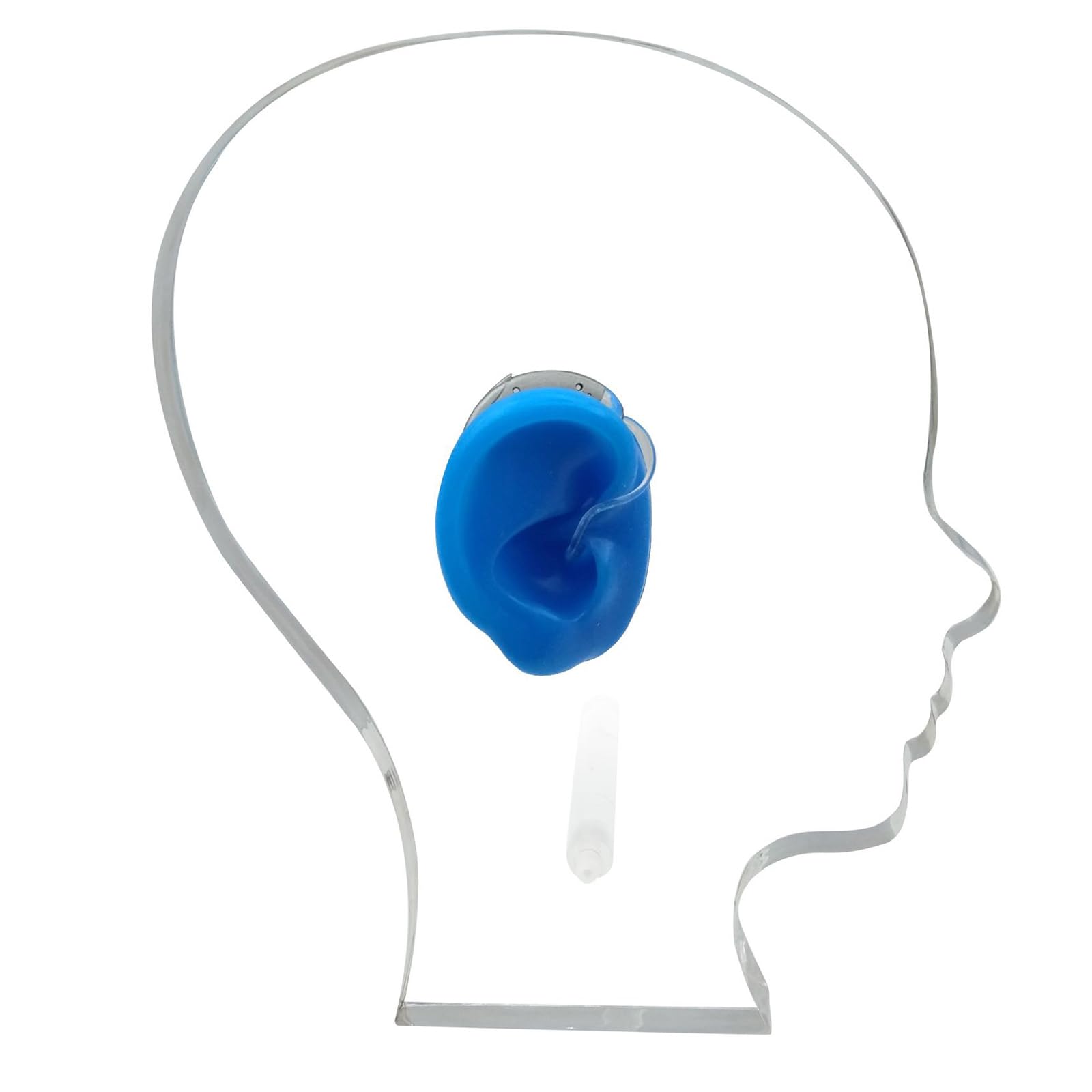 Oreja de silicona azul con soporte de acrílico para práctica de perforación y exhibición