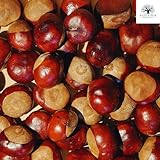 Natur pur Produkte