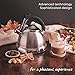 Whistling Tea Kettle with iCool - Handle, Surgical Stainless Steel Teapot for Stovetop, 2 FREE Infusers Included, 3 Quart by Pykal