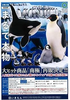 Amazon | ネイチャーテクニカラー 南極 特装版 イワトビペンギン