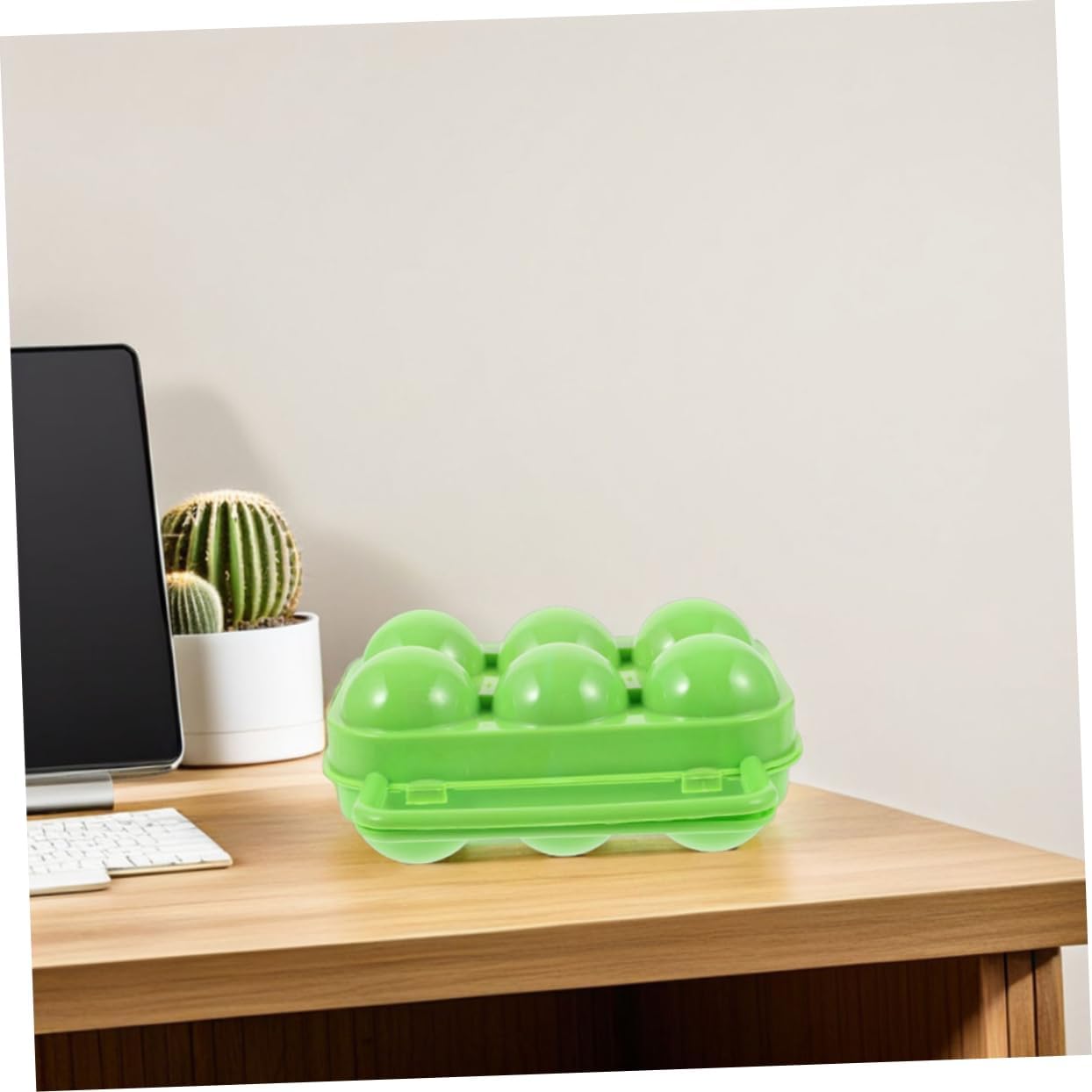 VICASKY 2pcs Portable Egg Container Outdoor Egg Carrier Holder Shockproof and Carton for Camping Travel Fridge