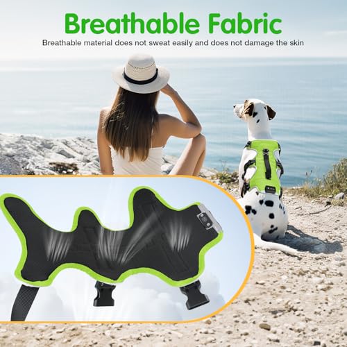 Jewyow Hundegeschirr Leuchtend, Wiederaufladbare LED Hundegeschirr, Led Geschirr für Hunde mit Weicher Griff, 3 Einstellbare Modus, Wasserdicht für Mittelgroße, Große Hund, Green-L