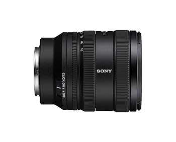 Sony FE16-35GM F2.8 値下げ油樽 Sony FE16-35GM F2.8 値下げ油樽様専用 - メルカリ