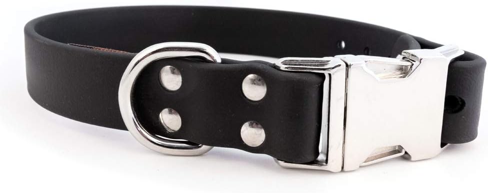 Auburn Leathercrafters Sparky's Choice Dog Collar Color: Pink, Size: 1" x 22"