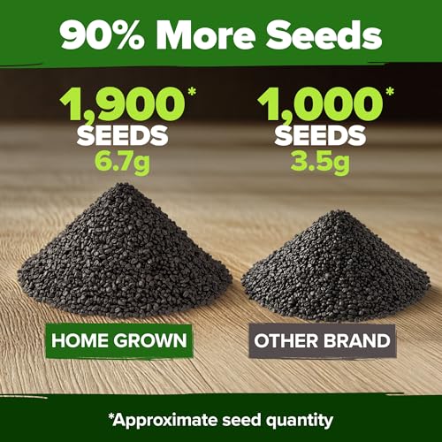 Image of HOME GROWN 8 Onion Variety Mix 1600+ Heirloom Non-GMO Seeds for Planting, High Germination, Red, Yellow, White, Sweet Vidalia & Spanish Bulb Onions, Green Scallions,Indoor Outdoor Garden (Allium cepa)