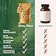 Ginseng Kapseln 400mg – 27% Ginsenoide – Hochdosiert & Laborgeprüft – Reiner Panax Ginseng – Vegan, in Deutschland produziert – 60 Kapseln von sunny nature®