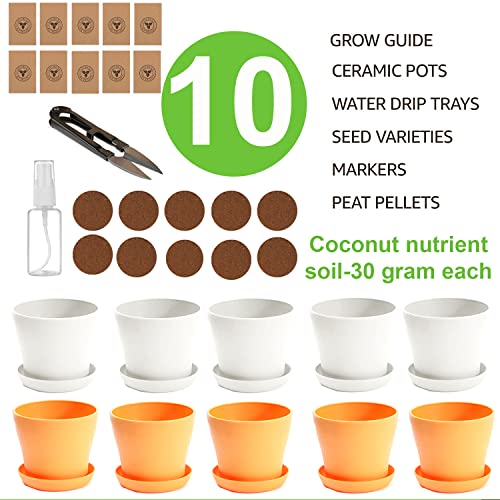10 Herb Window Herb Garden Growing Kit Indoor, Kitchen Garden Plant Set, Gardening Starter Gifts For Women & Men, Mom, Her #TOP1