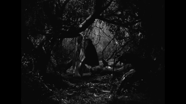 Amazon.com: I Walked with a Zombie / The Seventh Victim