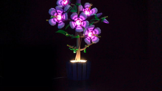 Amazon.com: BRICKSHINING LED Lighting Compatible with Lego 10372