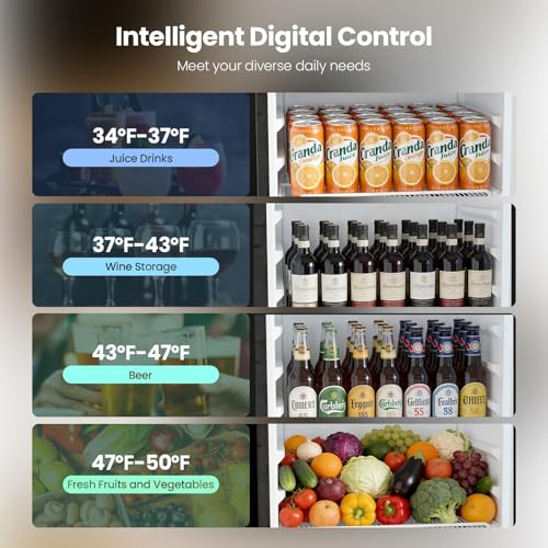 Image of Kismile 9.1 Cu.Ft Large Commercial Refrigerator with Customizable Lightbox, Display Fridge with Wheels, Lock & Key, Double-Tempered Glass Beverage Refrigerator for Bar, Restaurant, Outdoor