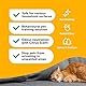 Petsly® Mildes Hunde & Katzenabwehrspray -500ml- Nicht färbend - Hundeschreck gegen Urinieren - Katzen Schreck Spray auch als Kratz & Knabberschutz - Hundeabwehrspray Innen- und Außenanwendung