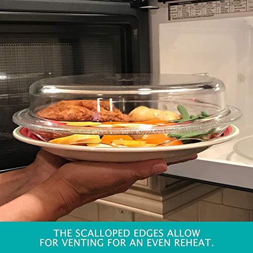 Can You Put A Glass Microwave Plate In The Oven at Emelia Enoch blog