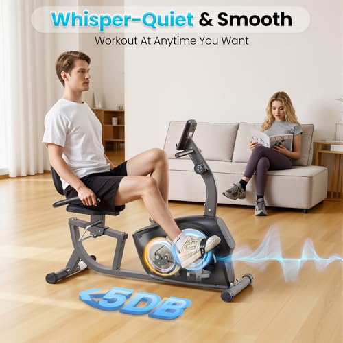 Image of BODIOO Exercise Bike, Recumbent Exercise Bike for Seniors, Stationary Bike for Home Workout, 8-Level Magnetic Resistance, Quiet Smooth Ride, Comfortable Seat with Backrest, Heart Rate Monitor, 300LB Capacity