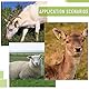 WMYCONGCONG 1-100 Number Sheep Ear Tag Livestock Tags und 1 PCS Ear Tag Applicator Zange für Ziegenschafe (gelb)
