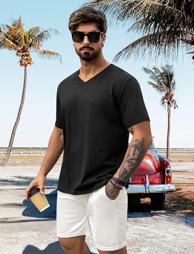 NIASHOT Mens T Shirts Short Sleeve Classic V Neck T-Shirt Casual Summer Basic Tee Shirt3