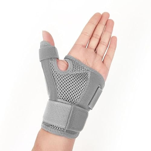 [Xvm] ewT|[^[ F≊ T|[^[ ew ewtT|[^[ wT|[^[ ΂ˎw  w   (O[)