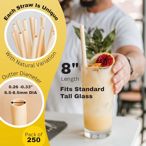 Pitillos biodegradables compostables 8 pulg por 250 unidades miniatura 3