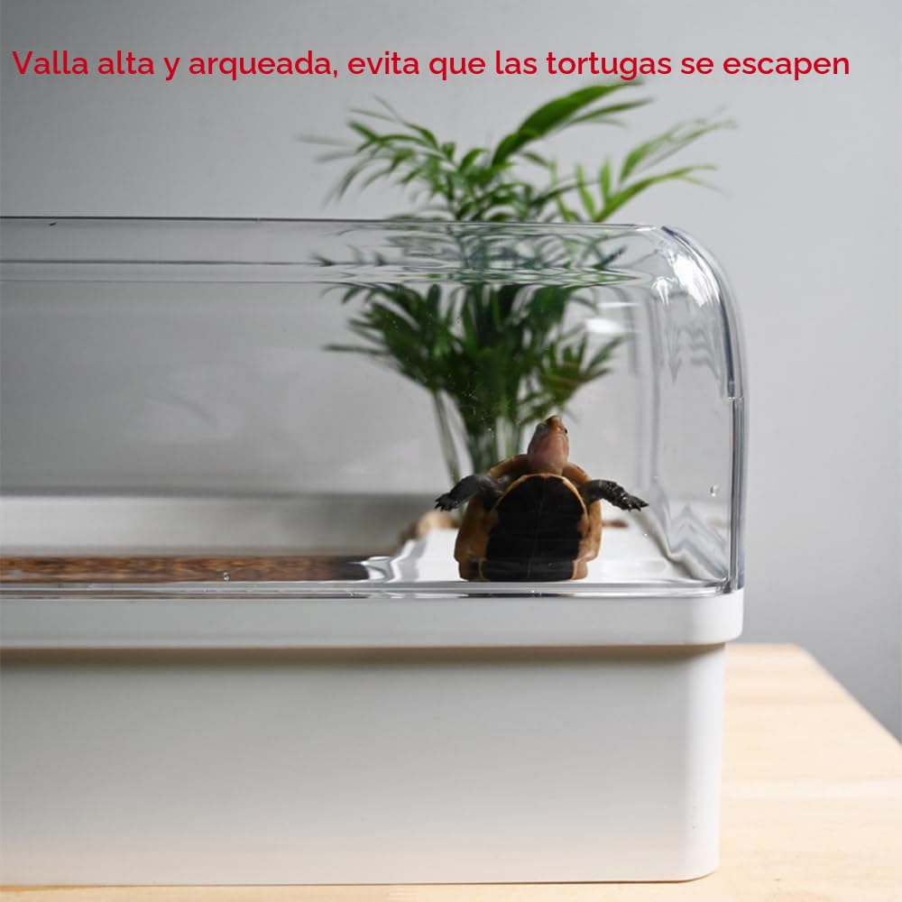Tanque de tortuga con plataforma para tomar el sol, áreas multifuncionales, tanque de acuario acrílico con vista panorámica de 360° para tortugas, cangrejo de río y lagarto (blanco)