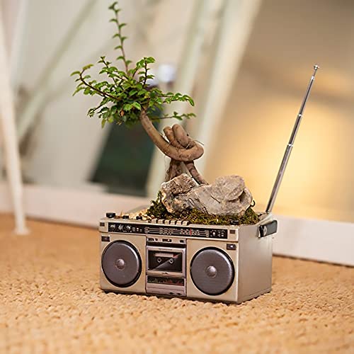 Image of Funny live 4.7 Inches Retro Recorder Shape Desktop Decoration Resin Crafts Ornaments Home Office Personality Multi-purpose Succulent Plant Pot | Pen Holder (Recorder)