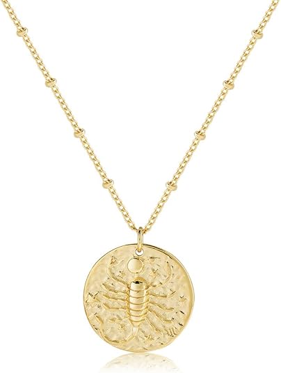 Zodiac Coin Embossed Choker Necklace Disc 12 Constellation Astrology Horoscope 14K Gold Plated Round Pendant Personalized Necklace Gift for Women Men