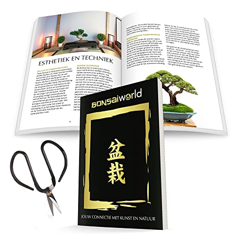 Bonsaiworld Bonsai Baum Starter Kit - Ideales Änfanger-Pflegeset mit Buch & Schere - Zimmerbonsai S-Form, ca. 10 Jahre alt - Pflegeleicht, tolle Dekoration für Wohnzimmer & Büro - Höhe: 25-30 cm - Image 6