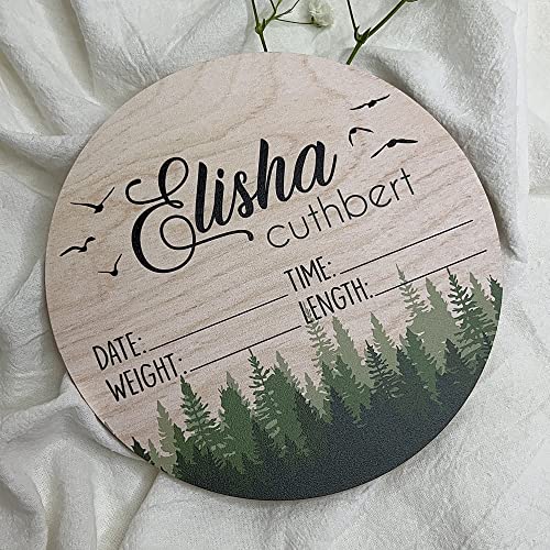 Baby Birth Stat Sign, Personalized Birth Announcement Sign, Name Announcement, Hospital Birth Announcement #TOP2