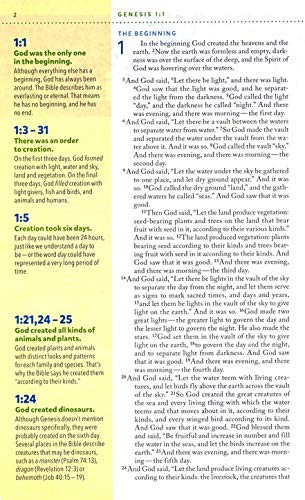 PERSONALIZED NIV Kids' Visual Study Bible - Imitation Leather - Brown - Custom Name Imprint - Image 3