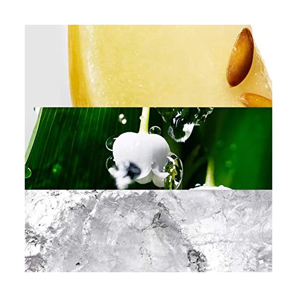 Cool-Water-by-Davidoff-for-Women-34-oz-Eau-de-Toilette-Spray DAVIDOFF Cool Water for Women 3.4 oz Eau de Toilette Spray