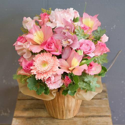 i`oXPbg̃t[AWg AWgt[ AWg Mtg   v[g  tbVt[ a LO j JXj җ ̓ ybg  (sN, 2L)