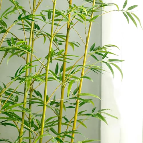人工観葉植物 約160cm 位　ツイスト幹 人工観葉植物 約160cm 位 ツイスト幹 人工観葉・フェイクグリーン