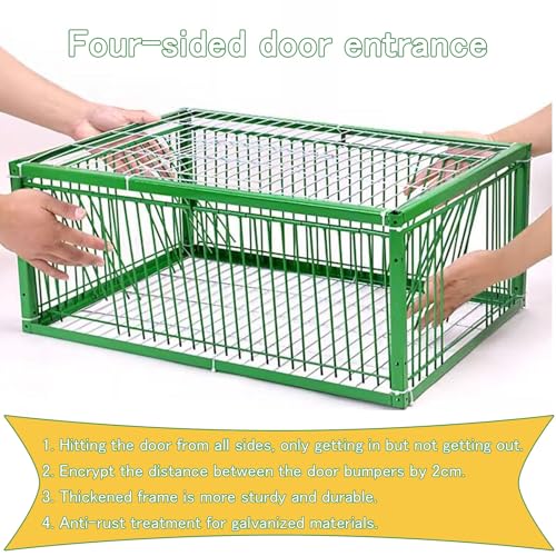 Jaula de trampa para pájaros, ligera, fácil de montar y limpiar, eficaz para palomas, cuervos, loros, solución de control de vida silvestre y control de plagas