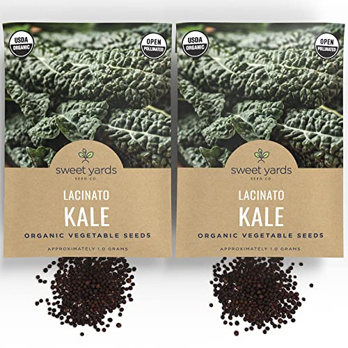 Organic Lacinato Kale Seeds - 2 Seed Packets! - Over 500 Open Pollinated Heirloom Non-Gmo Usda Organic Seeds #TOP1