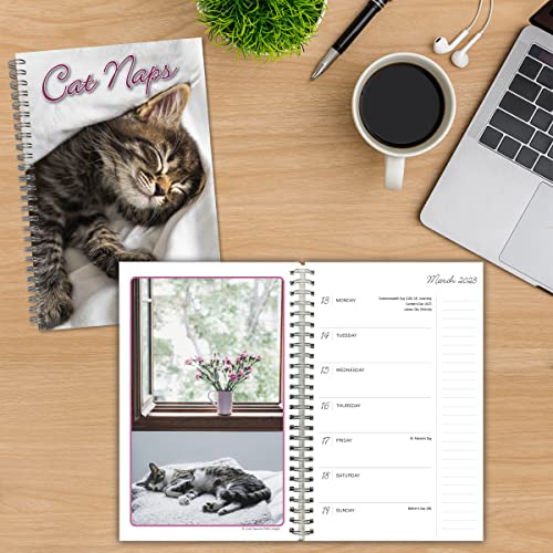 Cat Naps 2023 Weekly & Monthly Planner, 16-Month Engagement Calendar: September 2022 - December 2023, 6" X 9" #TOP5