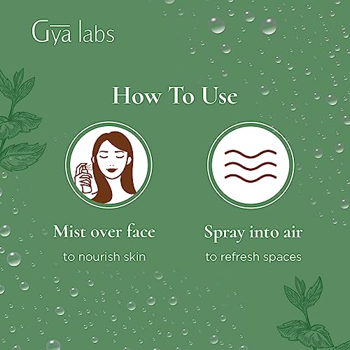 Gya Labs Peppermint Hydrosol For Hair And Skin (3.4 Fl Oz) - Natural Peppermint Hydrosol #TOP6