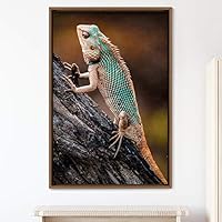 Framed Canvas Wall Art Reptile Contemporary Dramatic Hallway Iguana Multicolor Photography Reptiles - 16x24 inches