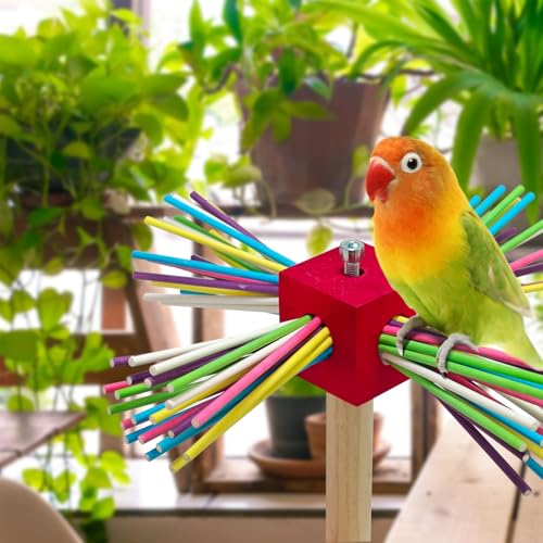 Image of Bird Perch Toy for Cage,Spinning Windmill Bird Perch Toy,360 Rotating Chewable Stand with Grinding Sticks,Interactive Cage /Tabletop Training Toy for Parakeets,Cockatiels,Lovebirds (Mixcolor, Square)