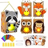 Sprinlot 5 Stück Laternen Bastelsets Kinder, Sankt Martin Laterne Basteln, Tierische Papierlaternen, Martins Laternenfest Geschenk Jungen Mädchen