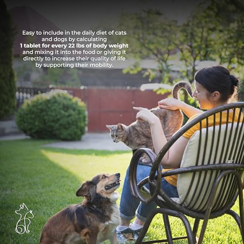 Joints & Mobility Supplement for Dogs & Cats – Glucosamine, Chondroitin, MSM, Collagen, Vitamin B3 & Vitamin E – Hip & Joint Support – 60 Chewable Tablets - Image 5
