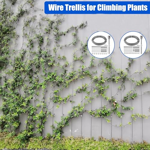 Support pour plante grimpante extérieur NEWFUN câble acier inoxydable de 30 mètres