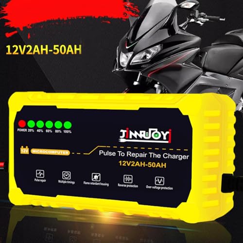 Chargeur efficace de 12 V avec mode de maintenance automatique intelligent